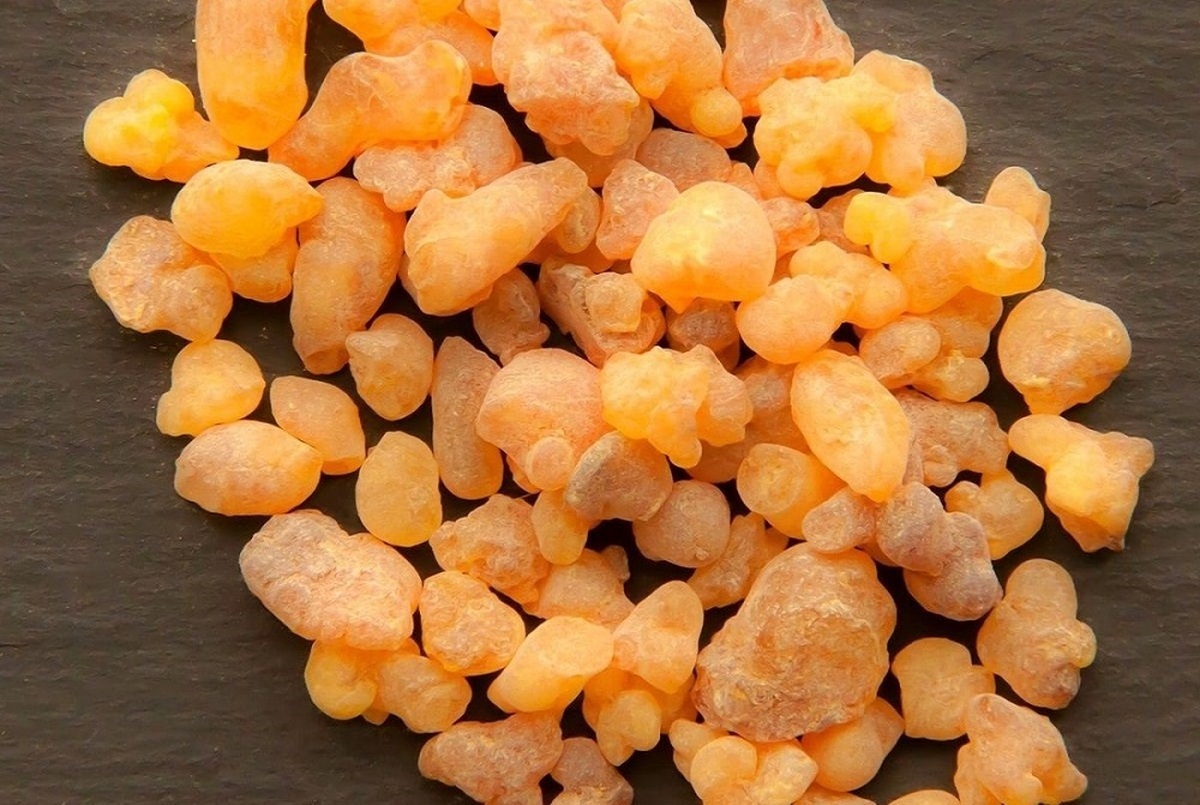 خواص کندر برای مغز و حافظه در طب سنتی